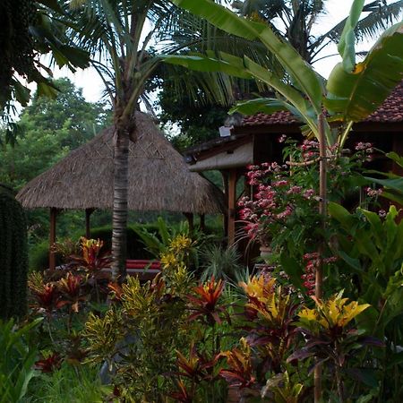 Rumah Sungai Villa 乌布 外观 照片