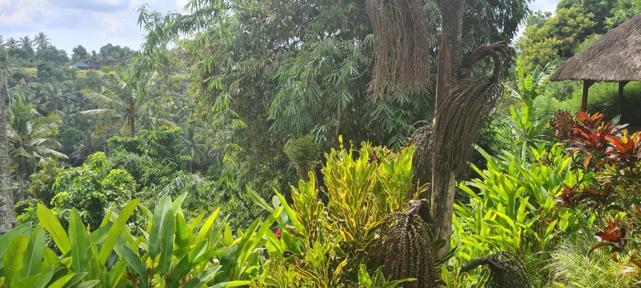 Rumah Sungai Villa 乌布 外观 照片
