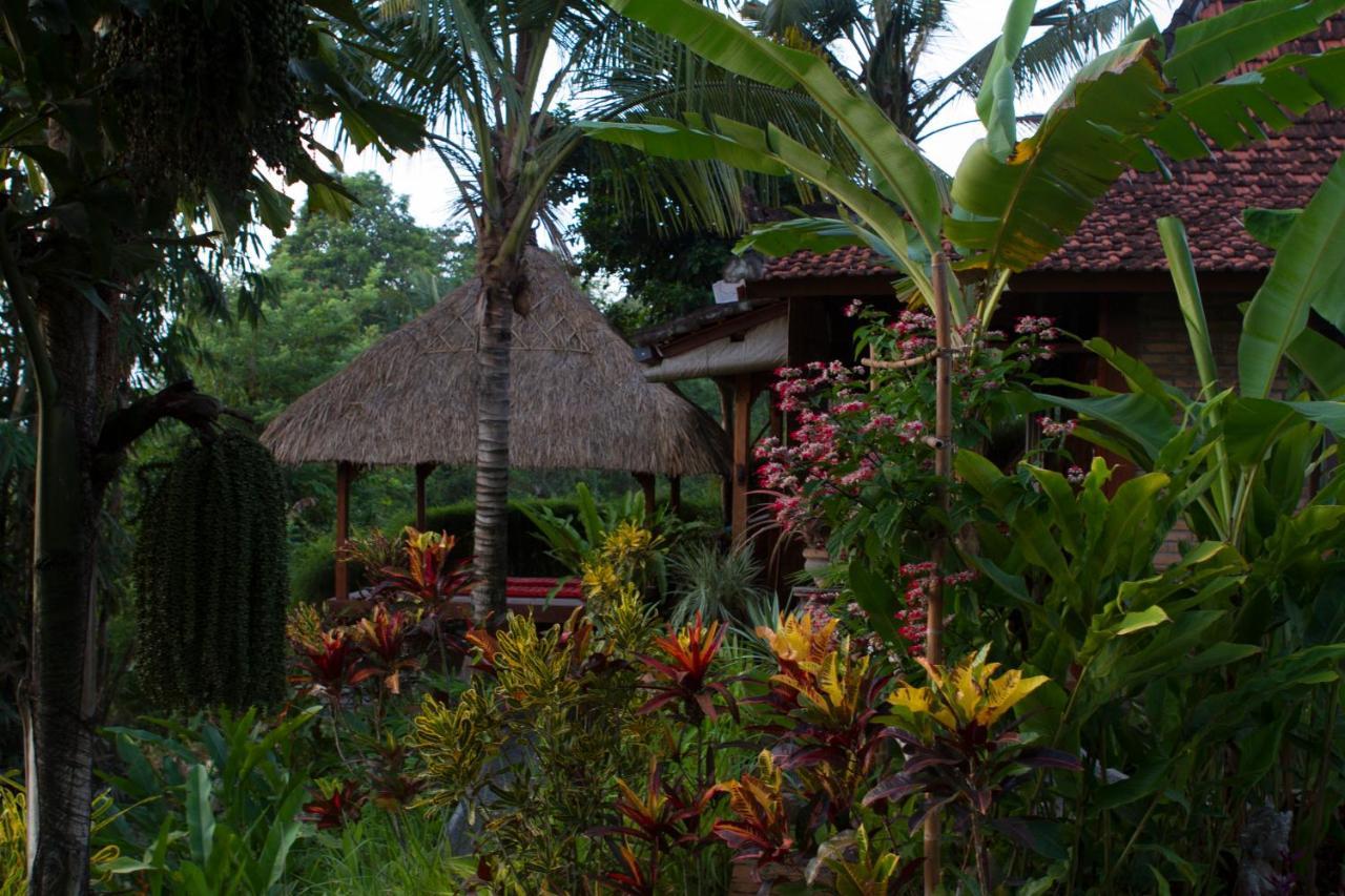 Rumah Sungai Villa 乌布 外观 照片