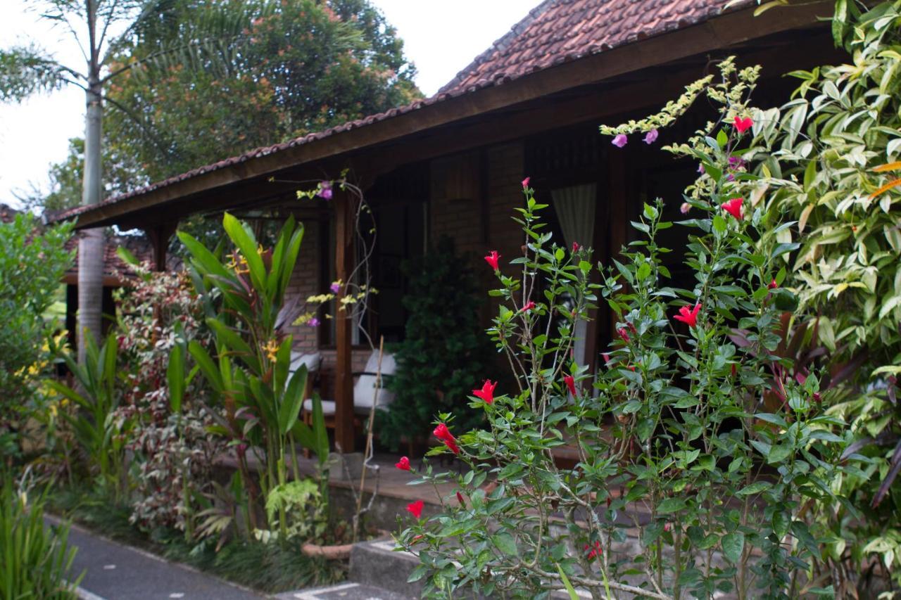 Rumah Sungai Villa 乌布 外观 照片