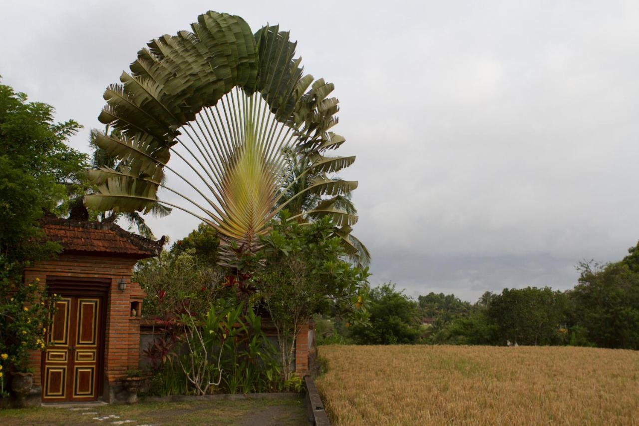 Rumah Sungai Villa 乌布 外观 照片