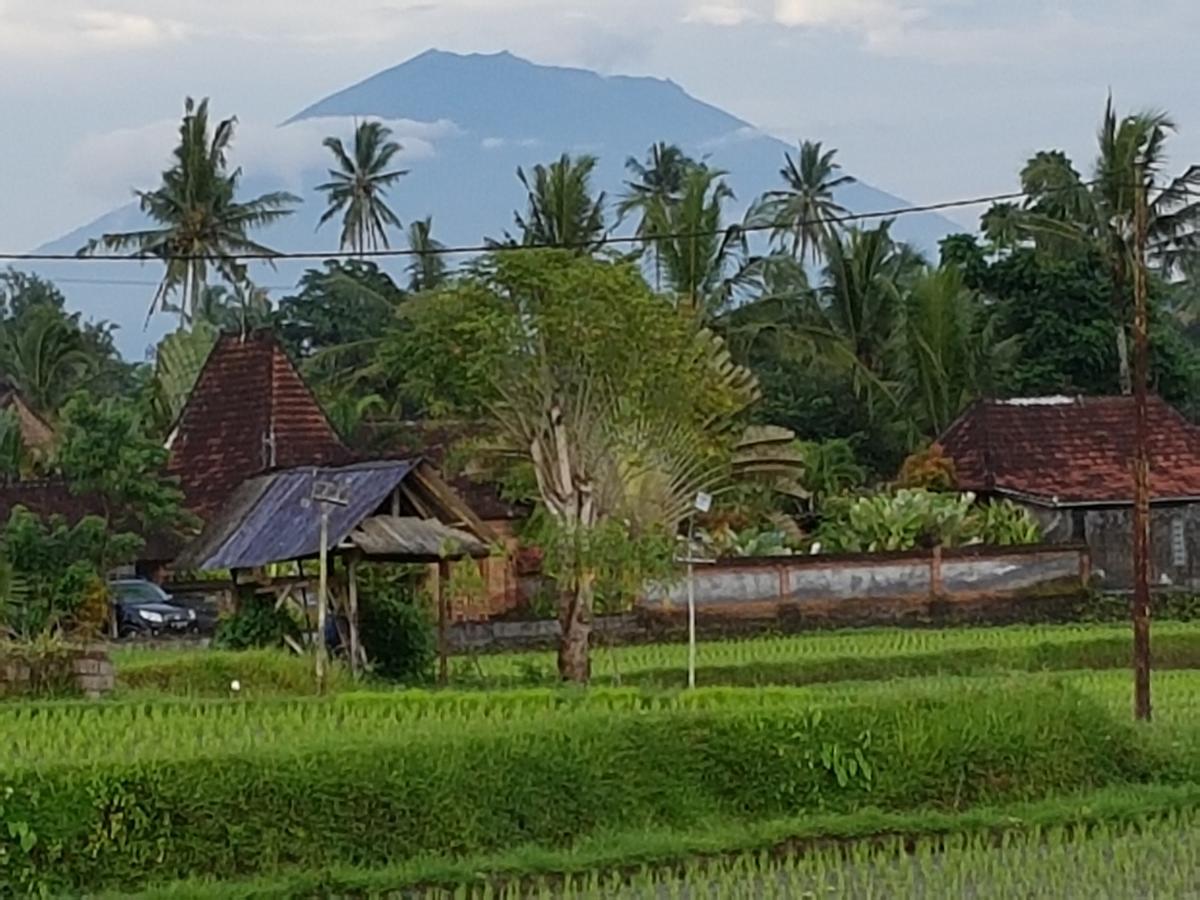 Rumah Sungai Villa 乌布 外观 照片