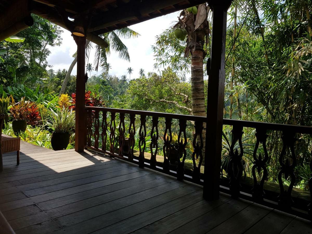 Rumah Sungai Villa 乌布 外观 照片